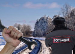 Прямой в голову: при задержании преступник из Самарской области избил росгвардейца монтировкой Прямой в голову: при задержании преступник из Самарской области избил росгвардейца монтировкой