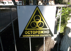 Третья волна: рассказываем, что происходит у ковидария в Самаре Третья волна: рассказываем, что происходит у ковидария в Самаре