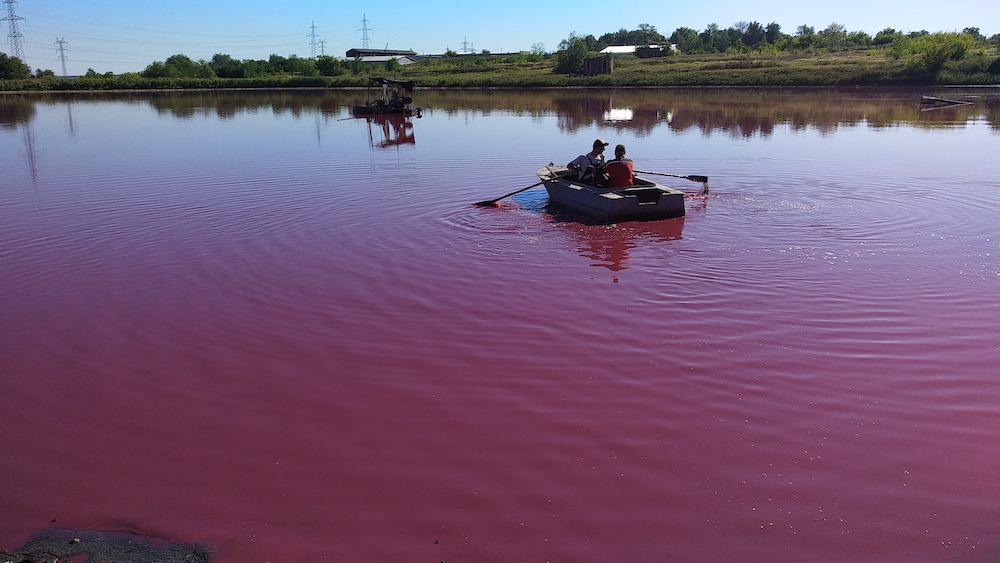 «Розовые озёра» в Самарской области становятся популярным туристическим объектом