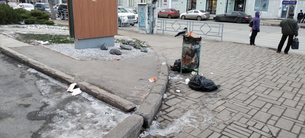 Самарцы жалуются на переполненные урны в Макдоналдсе на Полевой улице