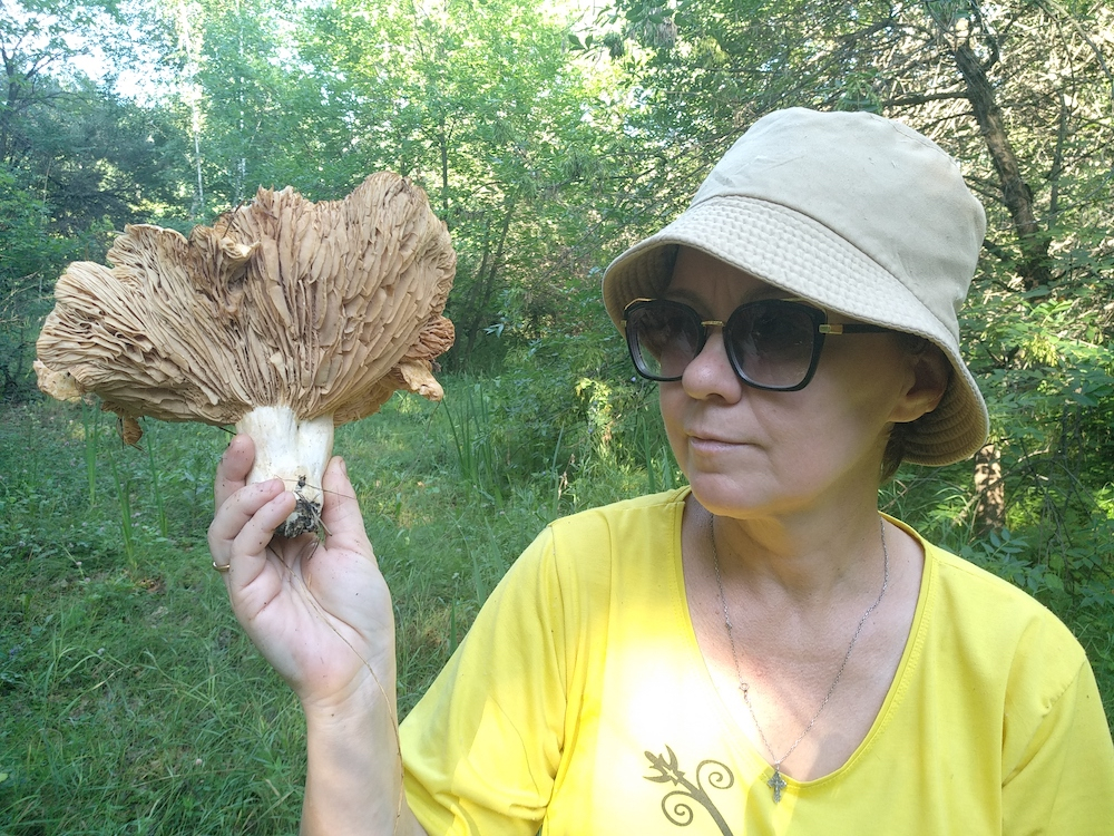 Рассказываем, где в Самарской области можно насобирать грибов