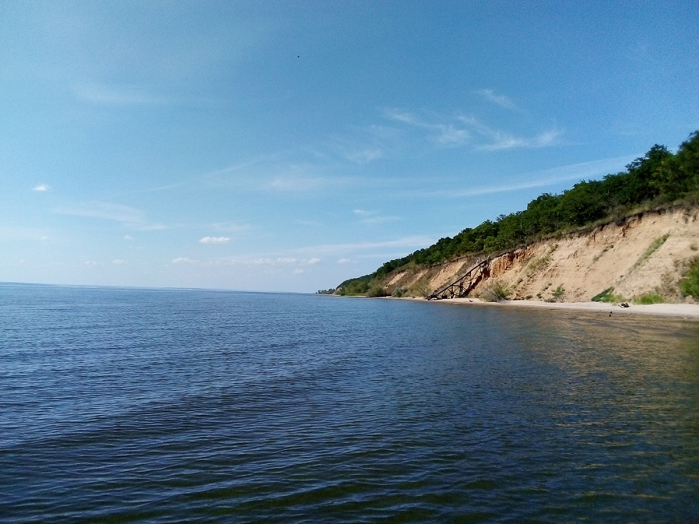 Самарская область, село Ягодное (недалеко от Тольятти). Берег Куйбышевского водохранилища усеян мёртвой рыбой Yagodnoe2.jpg