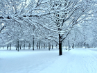 19 января в Самаре ожидается снег с дождём и сильный ветер