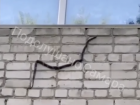 Незваная гостья: в Самаре на стене многоэтажного дома заметили змею
