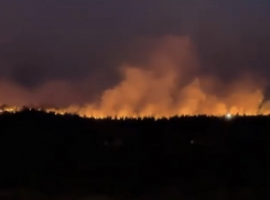 В Тольятти до сих пор не могут потушить лесной пожар