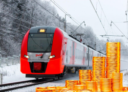 Золотая Ласточка: с нового года скоростной электропоезд обойдётся Самарской области ещё дороже
