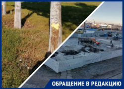 Бургер вместо тополей: жителей экологически грязного жилмассива Тольятти лишают последней рощи