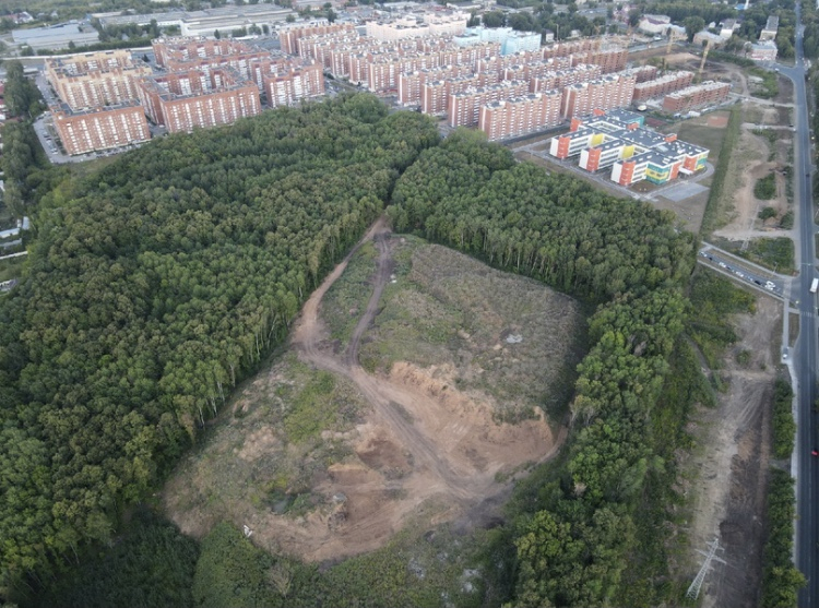 Жители Красноглинского района Самары требуют остановить вырубку леса