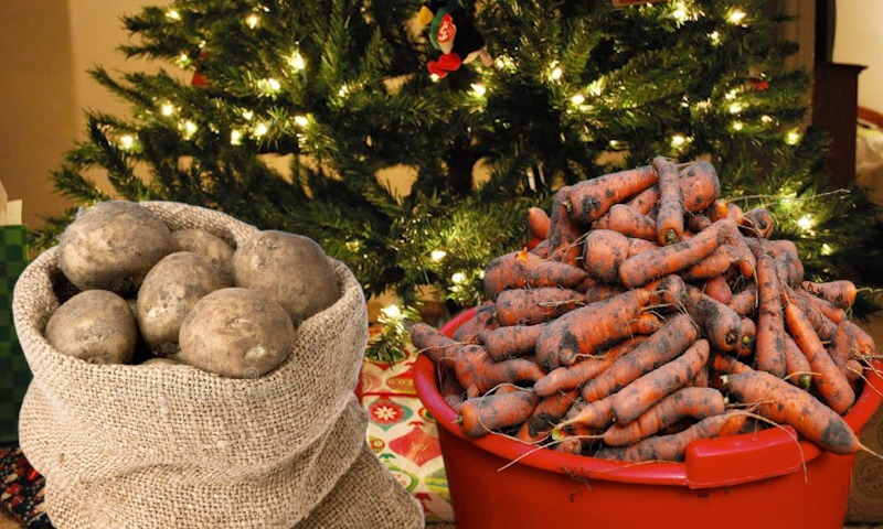 «А вот и деликатесы»: сельхозпроизводитель объяснил, почему блюда из картофеля станут самым дорогим лакомством на новогоднем столе